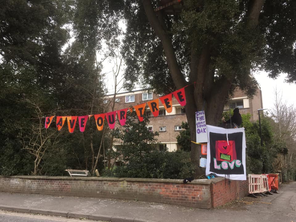 Bunting strung from the tree says "Save Our Tree"